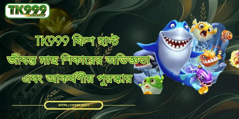 TK999 এর গোপনীয়তা নীতির সংক্ষিপ্তসার