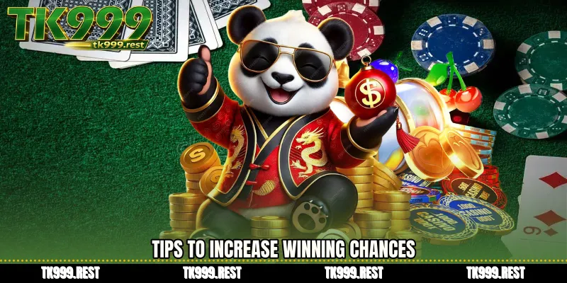 Tips to Increase Winning Chances